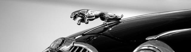 Jaguar hood ornament.